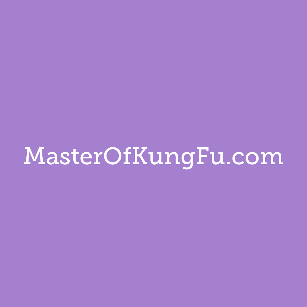 masterofkungfu.com