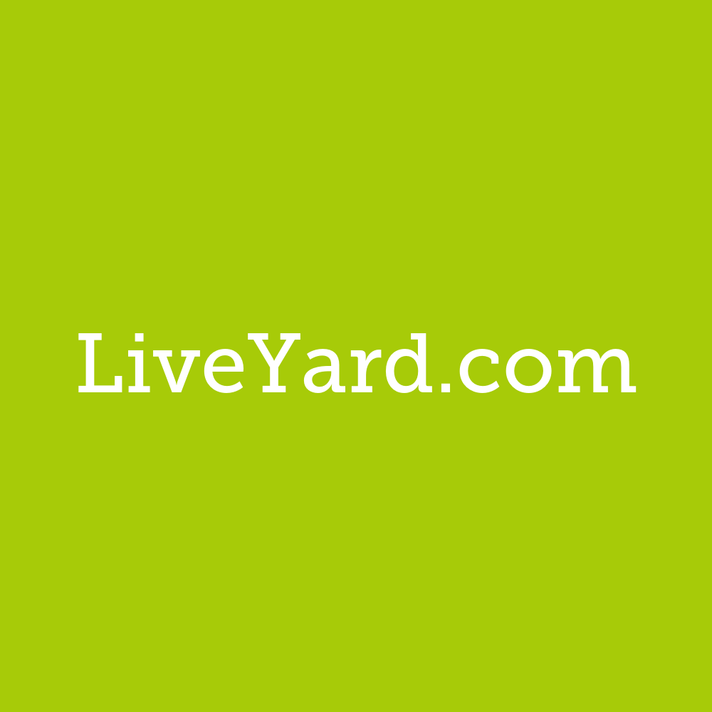 liveyard.com