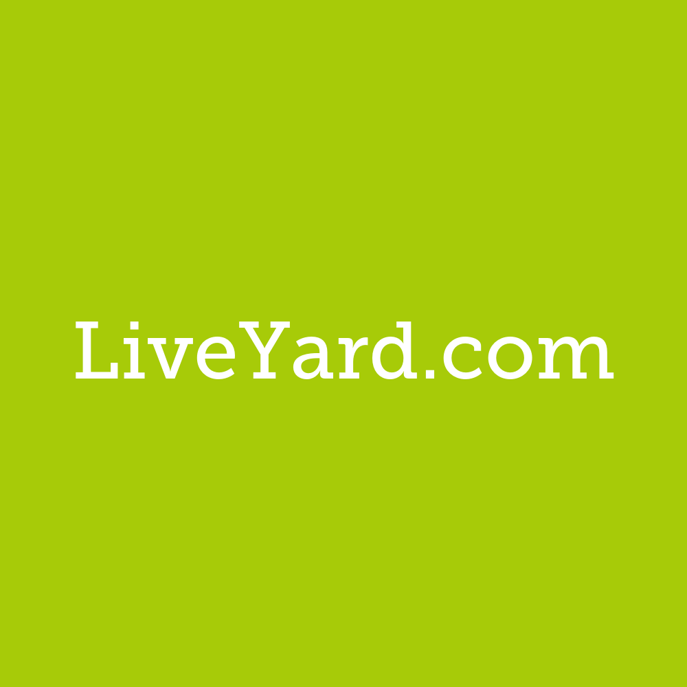 liveyard.com - this domain is for sale