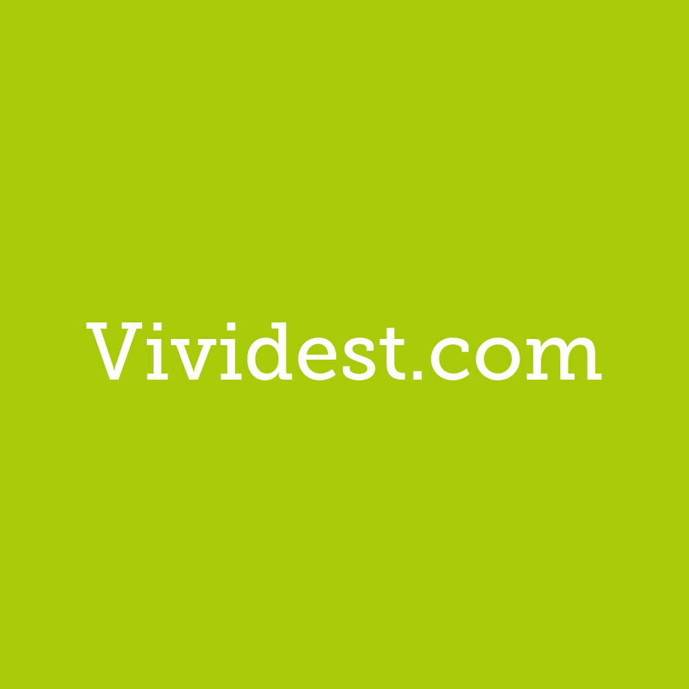 vividest.com