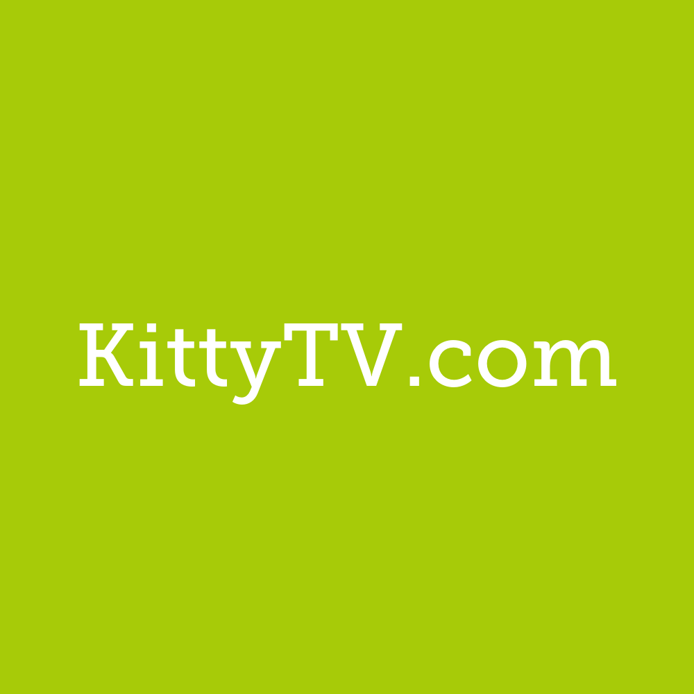 kittytv.com