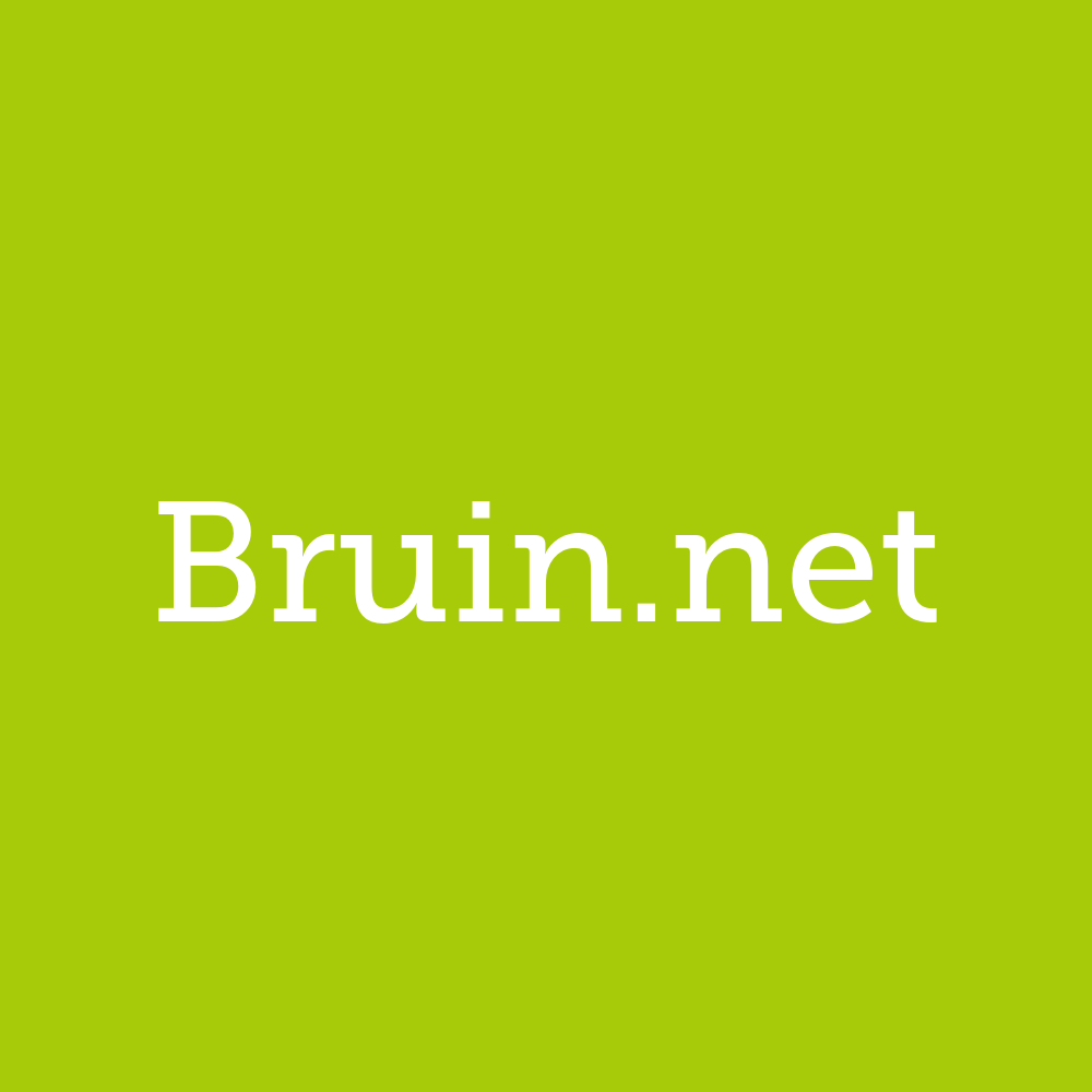 bruin.net - this domain is for sale