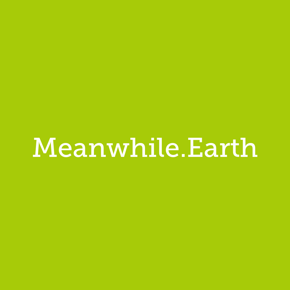 meanwhile.earth - this domain is for sale