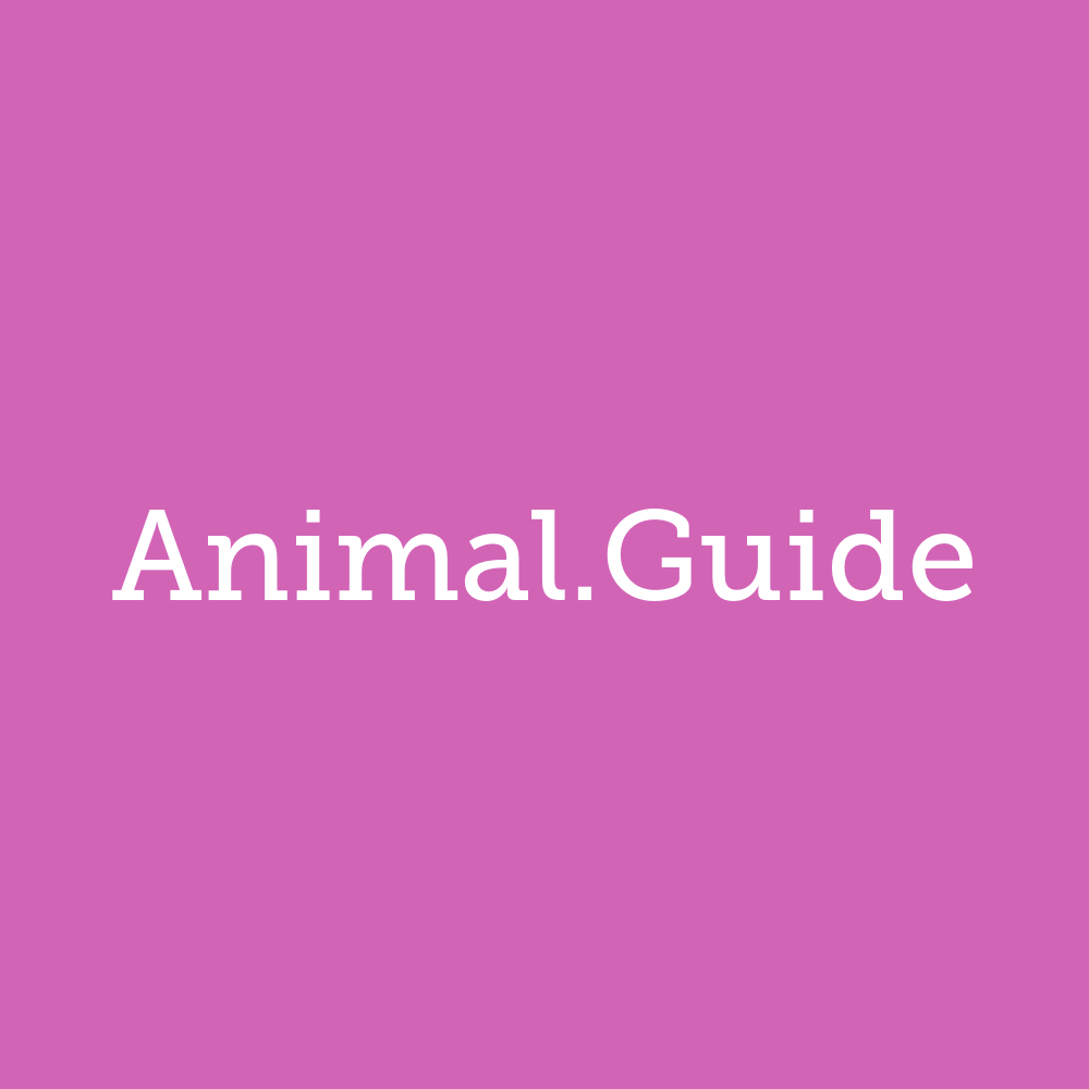 animal.guide