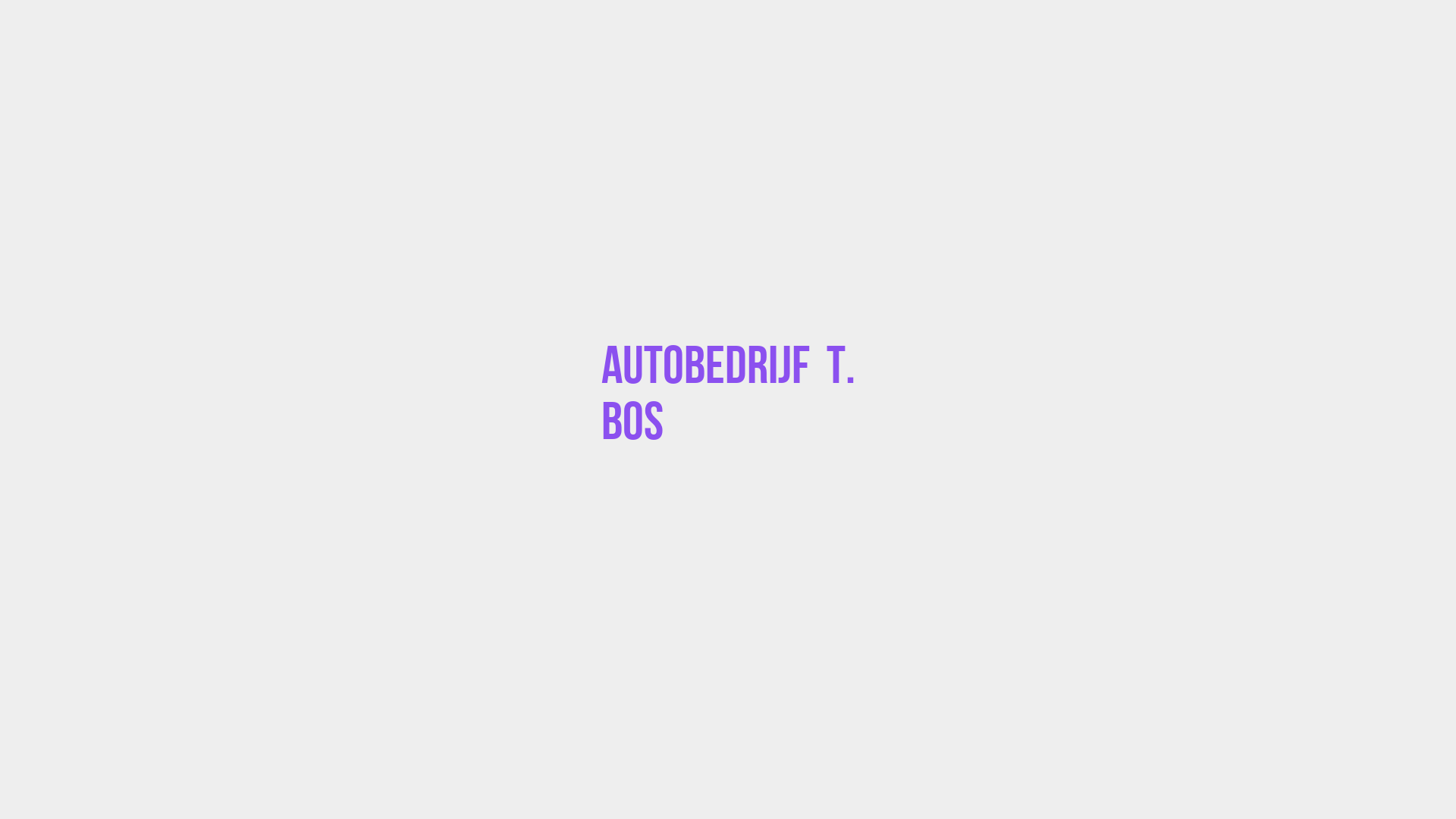 Placeholder image voor Autobedrijf  T. Bos