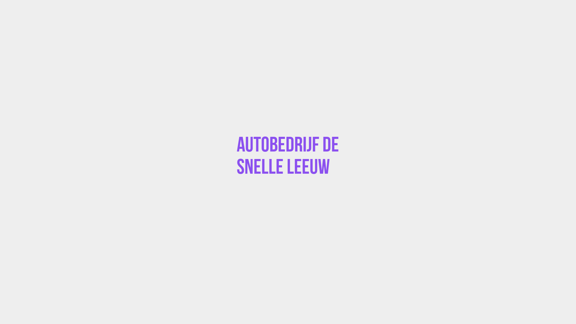 Placeholder image voor Autobedrijf De Snelle Leeuw