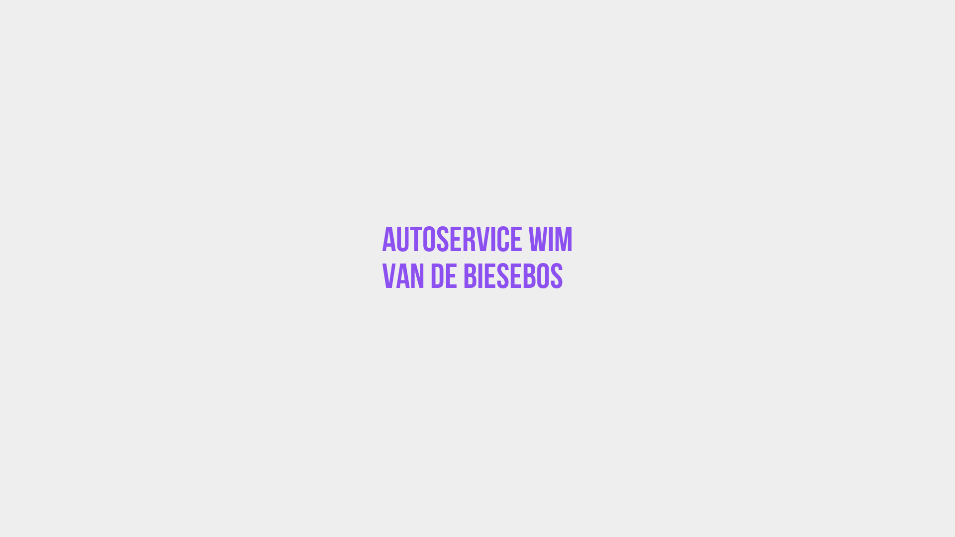 Placeholder image voor Autoservice Wim van de Biesebos