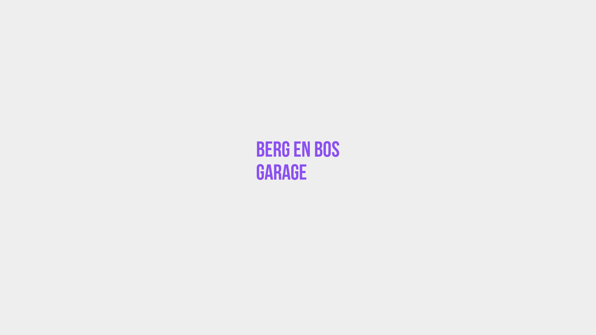 Placeholder image voor Berg en Bos Garage