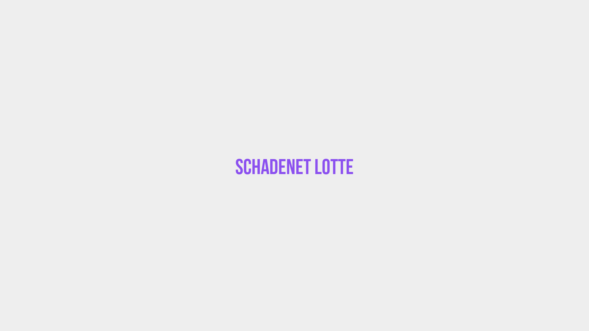 Placeholder image voor Schadenet Lotte