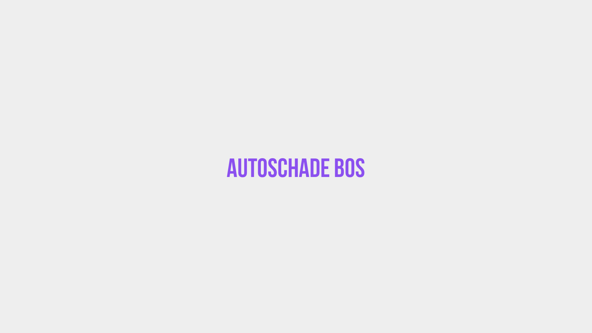 Placeholder image voor Autoschade Bos