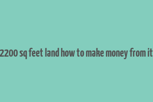 2200 sq feet land how to make money from it