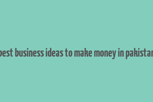 best business ideas to make money in pakistan