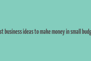 best business ideas to make money in small budget