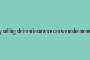 by selling shriram insurance can we make money