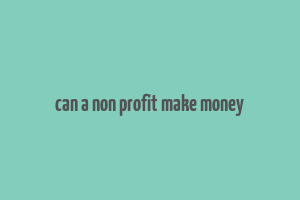 can a non profit make money