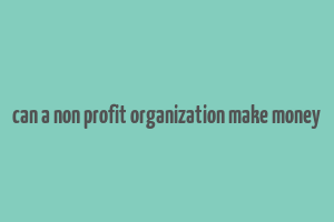 can a non profit organization make money