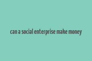 can a social enterprise make money