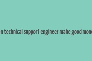 can technical support engineer make good money