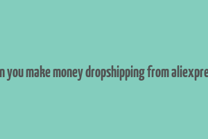 can you make money dropshipping from aliexpress