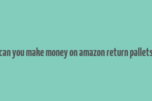 can you make money on amazon return pallets