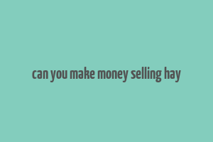 can you make money selling hay