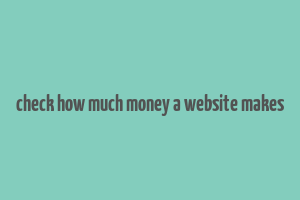 check how much money a website makes