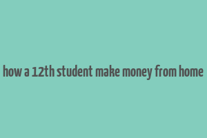 how a 12th student make money from home