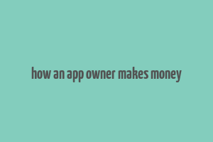 how an app owner makes money