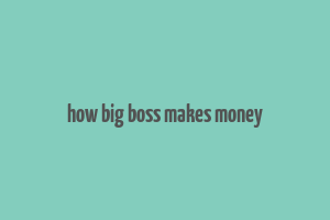 how big boss makes money