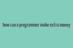 how can a programmer make extra money