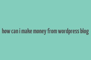 how can i make money from wordpress blog