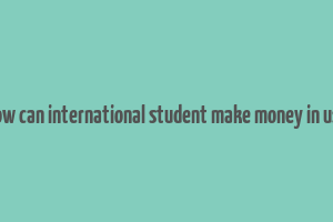 how can international student make money in usa