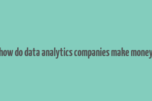 how do data analytics companies make money