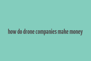 how do drone companies make money