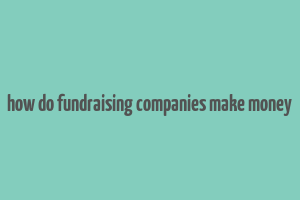 how do fundraising companies make money