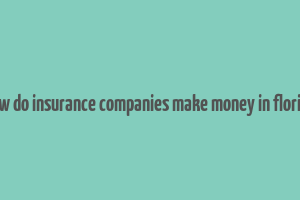 how do insurance companies make money in florida