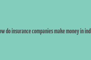 how do insurance companies make money in india