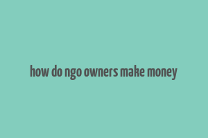 how do ngo owners make money