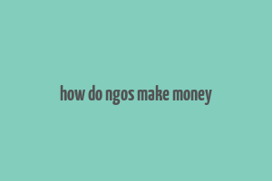 how do ngos make money