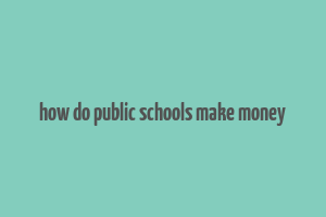 how do public schools make money