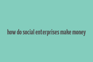 how do social enterprises make money