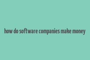 how do software companies make money