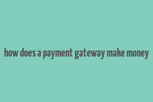 how does a payment gateway make money