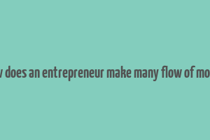 how does an entrepreneur make many flow of money