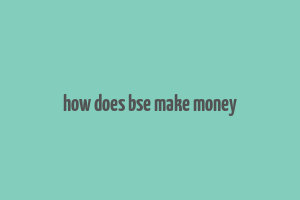 how does bse make money