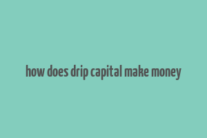 how does drip capital make money