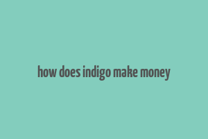 how does indigo make money