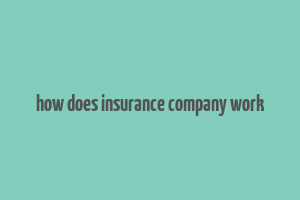 how does insurance company work