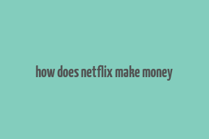 how does netflix make money