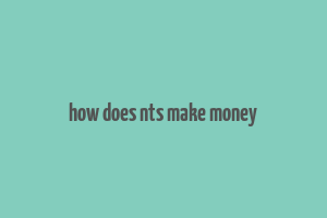 how does nts make money